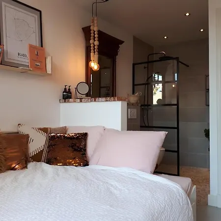 Bed & Breakfast Het Gindrahuis 3*